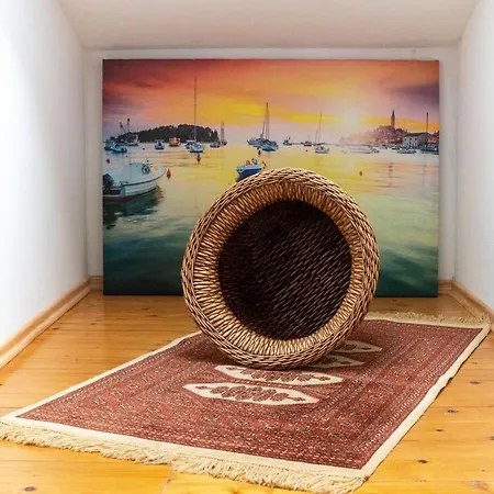 Pilicari (adults Only) * Ровинь