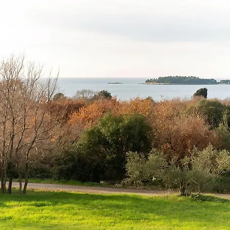 Pilicari (adults Only) *