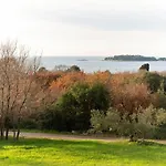 Pilicari (adults Only) *